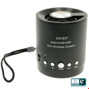 Wster WS-633BT Portable Bluetooth Speaker