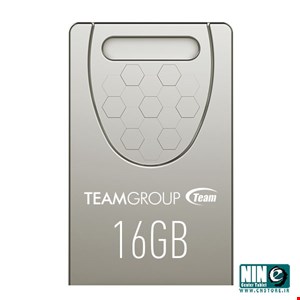 Team Group C156 Flash Memory - 16GB