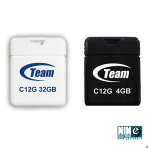 Team Group C12G Flash Memory - 32GB