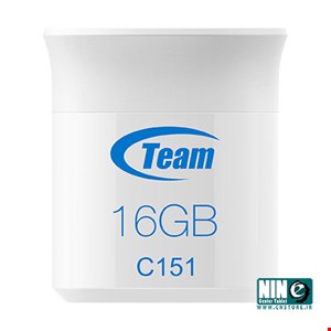 Team Group C151 Flash Memory - 16GB