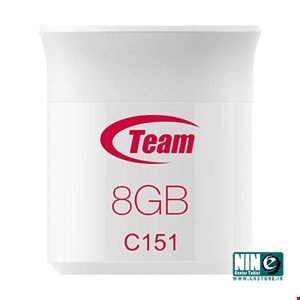 Team Group C151 Flash Memory - 8GB