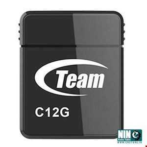 Team Group C12G Flash Memory - 64GB