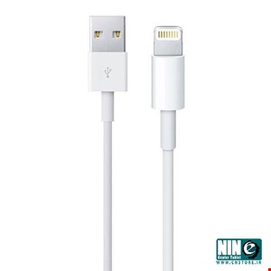 Apple USB to Lightning Cable